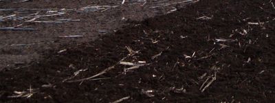 Neuer Stoppelgrubber Saatbettbereitung Bodenbearbeitung