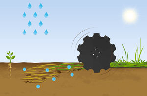 Shallow Stubble Cultivators Residue decomposition soil preparation