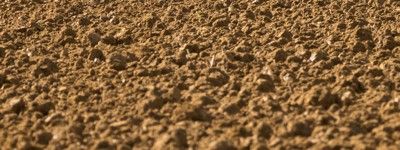 Shallow Stubble Cultivators Ploughing back soil preparation