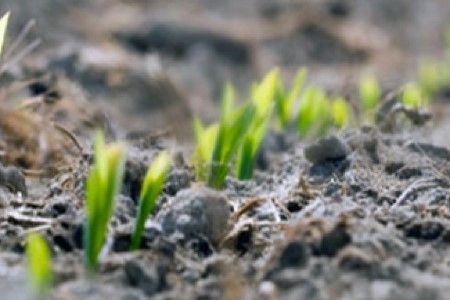 Agregaty uprawowe Ogrzewanie gleby uprawa roli